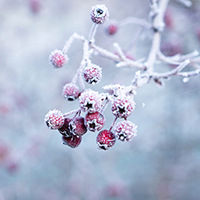Beautiful Winter - Lorem ipsum dolor sit amet, consectetur adipiscing elit, sed do eiusmod tempor incididunt ut labore et dolore magna aliqua