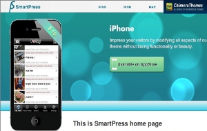 Attractive Responsive WordPress Themes Feature image