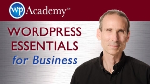 WordPress Essentials for Business Feature image