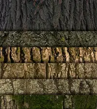 Collage of different wood textures and shades