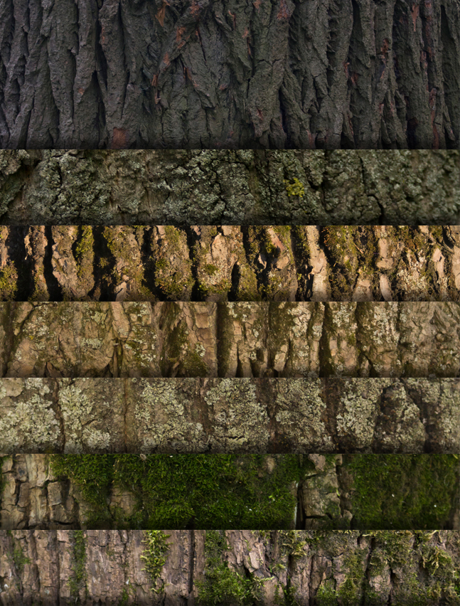 High resolution wood textures collage