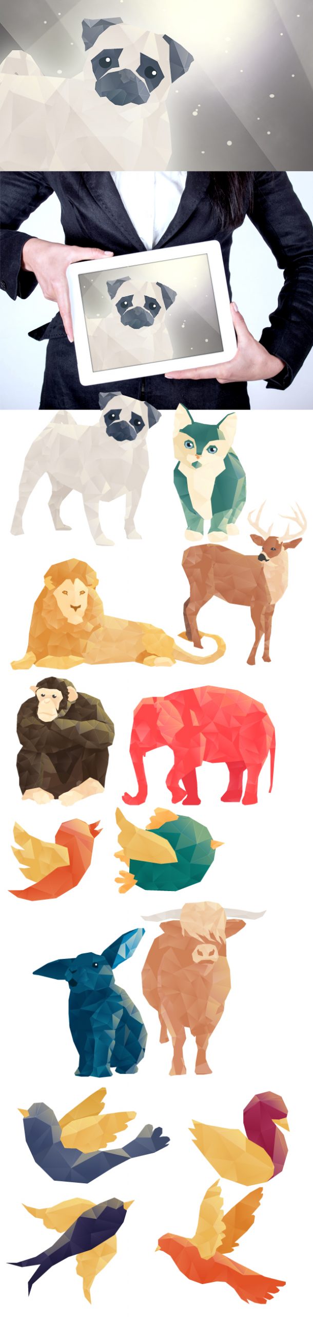 Polygonal Vector elements on animals