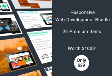 Feature image of 29 Responsive Products Web Bundle
