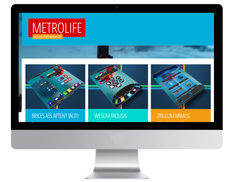 MetroLife WordPress Theme