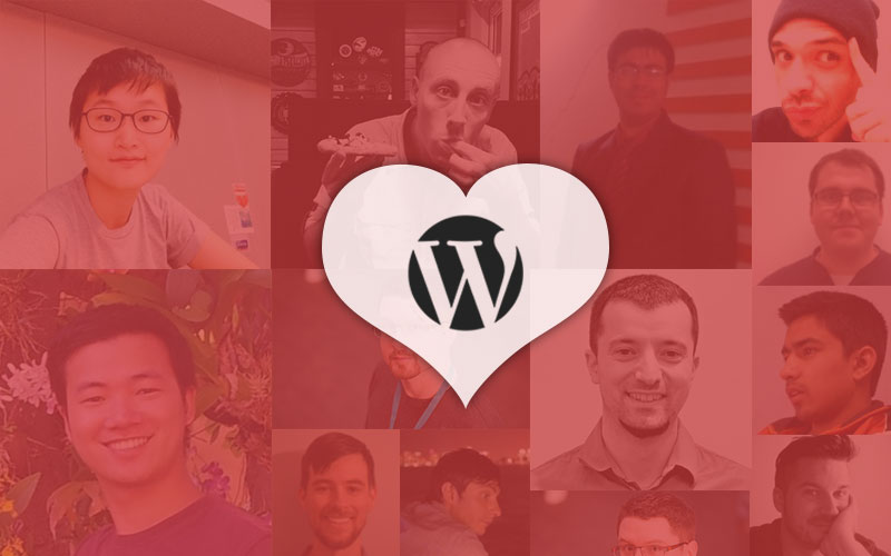 Feature image for blog - Top WordPress experts express their love for WordPress