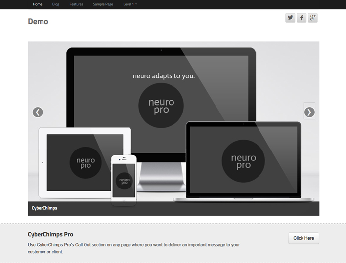 Neuro-Pro - responsive theme in grey and black