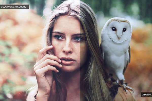 Free photoshop actions for portraits