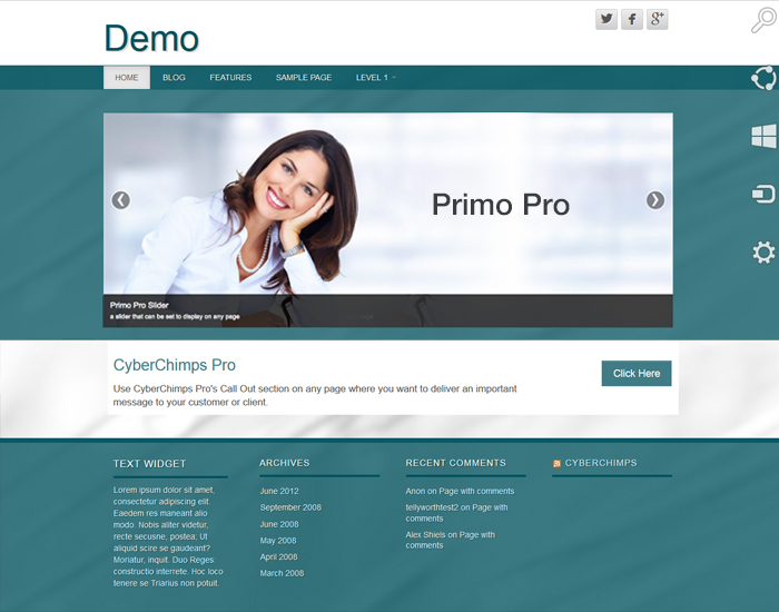 Prime-Pro Cyberchimps