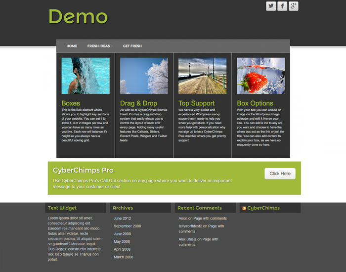 Responsive WordPress Themes - cyberchimps