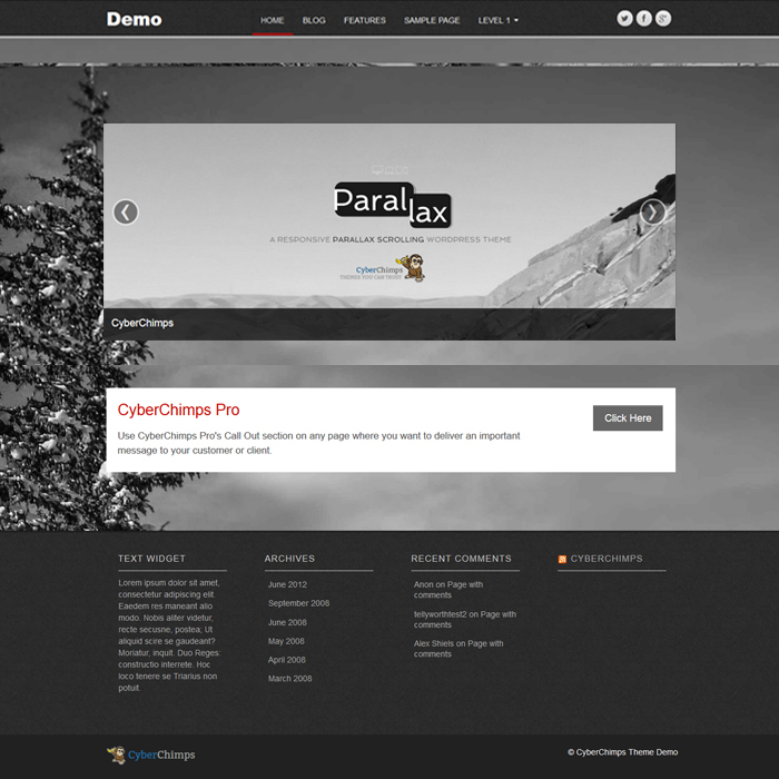 parallax-pro responsive theme