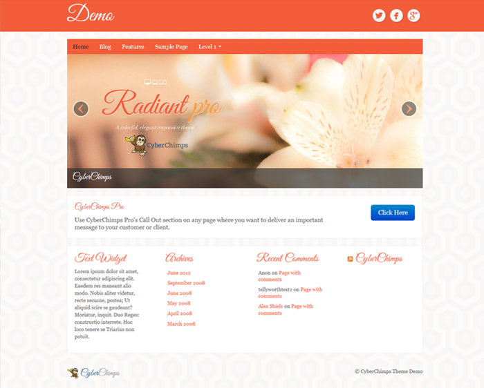 radiant pro cyberchimps responsive theme