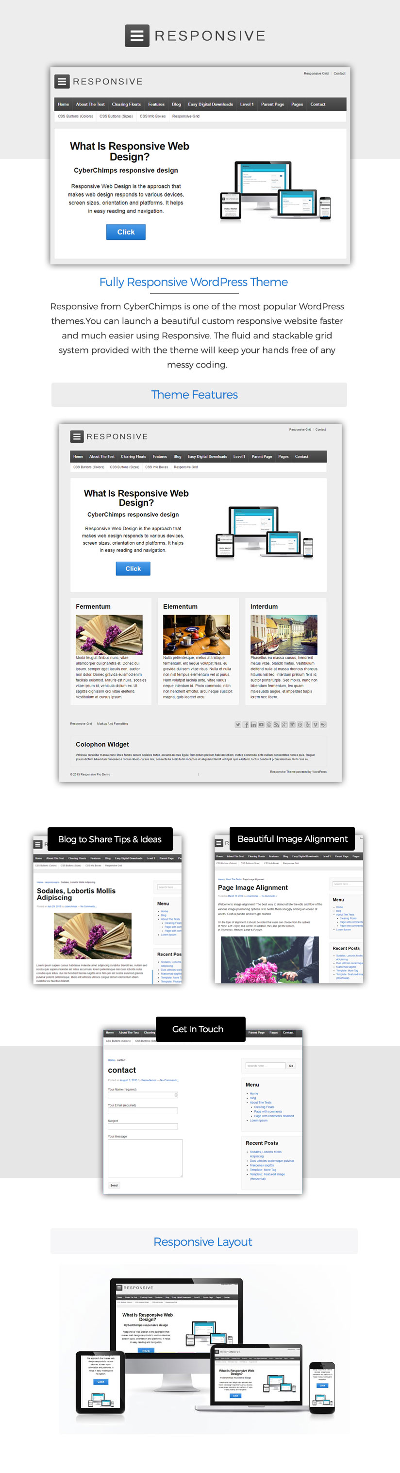 free-wordpress-theme