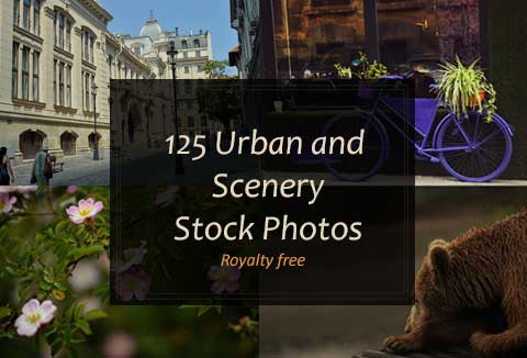 royalty-free stock photos