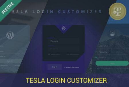 Tesla Login Customizer feature image