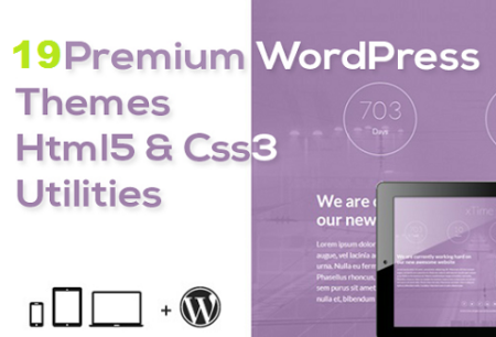 Premium WordPress Themes feature image