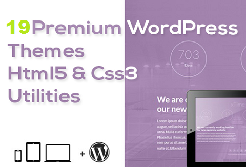 Premium WordPress Themes feature image