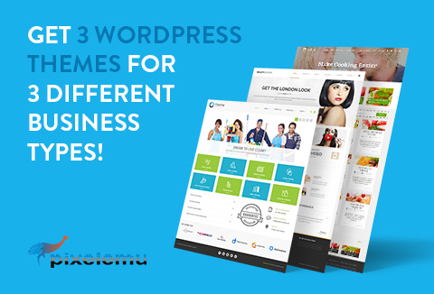 Feature image of 3 WordPress Themes for Creating Specialized Niche Sites