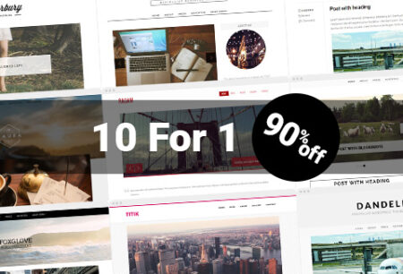 premium responsive wordpress themes