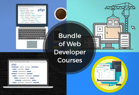 Developer Courses