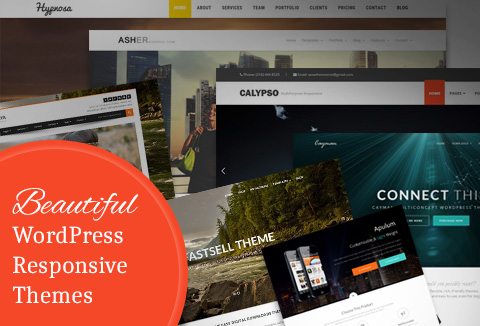 WordPress Responsive Themes