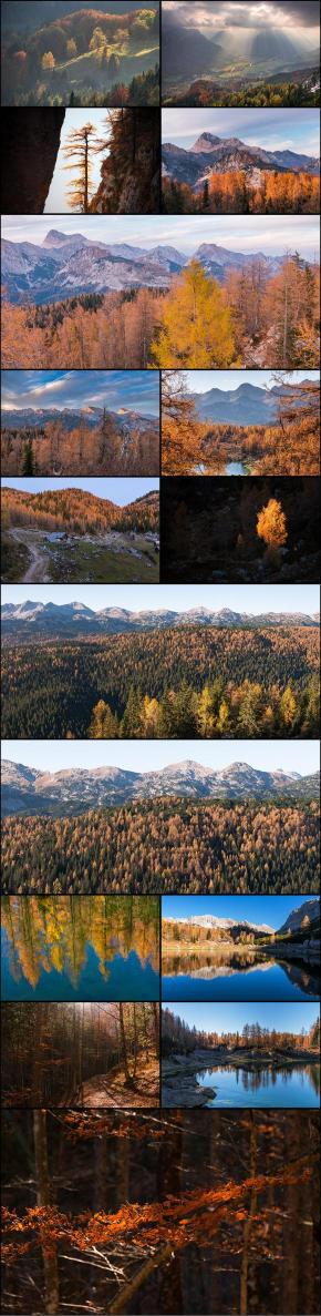 Collage of high resolution autumn landscapes