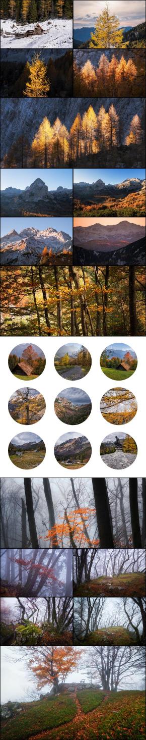 Collage of autumn landscapes