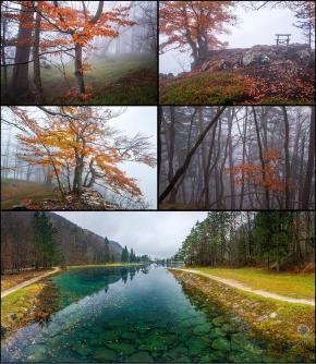 High resolution images of autumn season