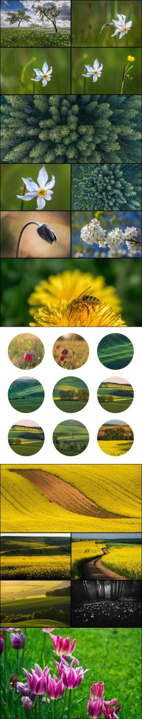 Collage of high resolution images of nature