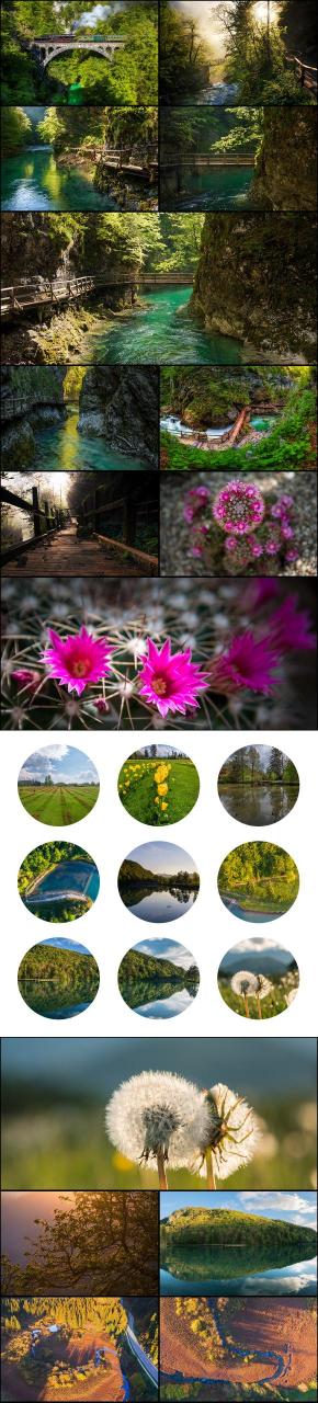 Collage of high resolution images of nature