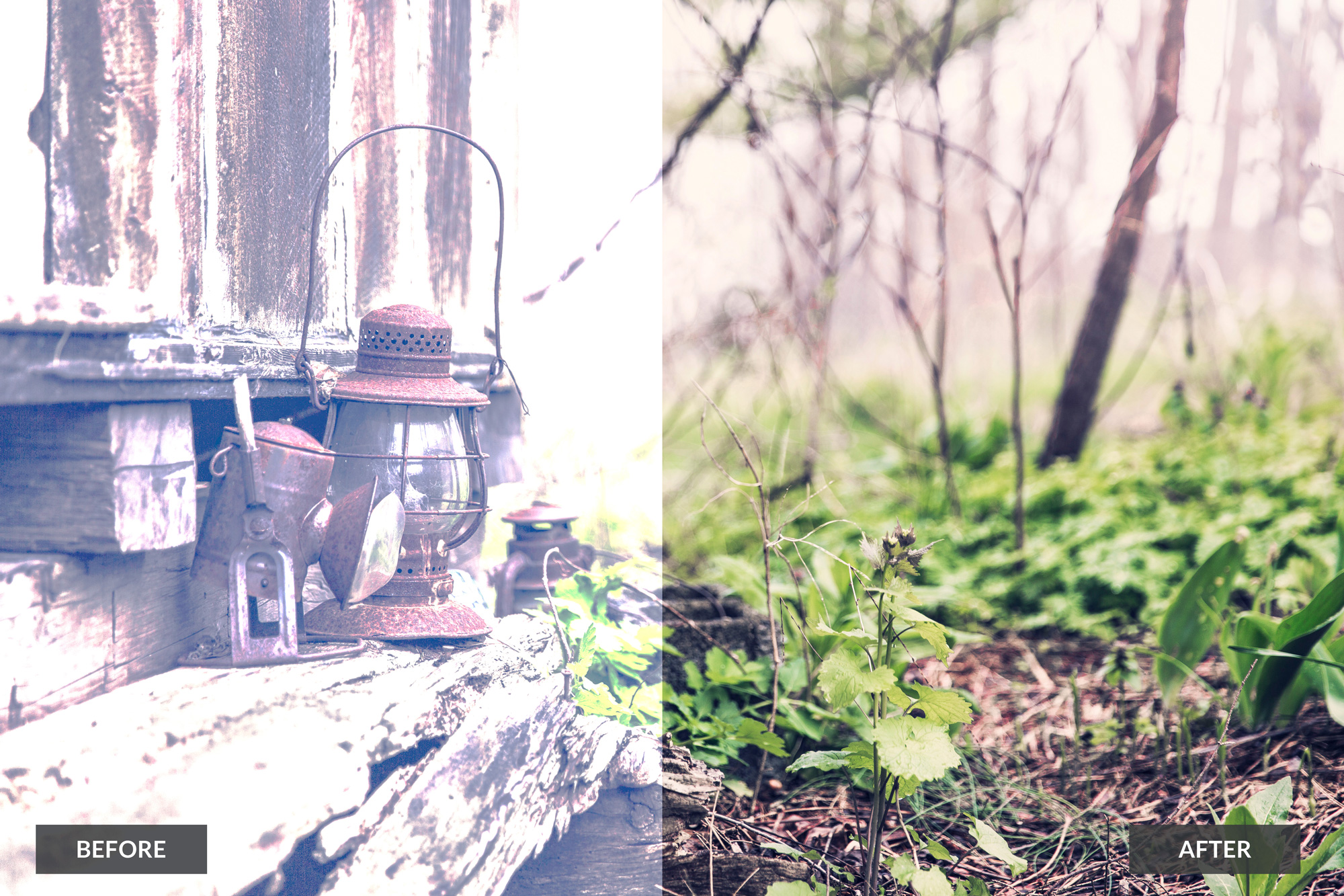 free actions for photoshop