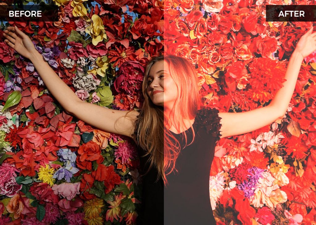 FREEBIE 22 FREE Black and White Actions