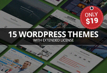 Top WordPress Themes