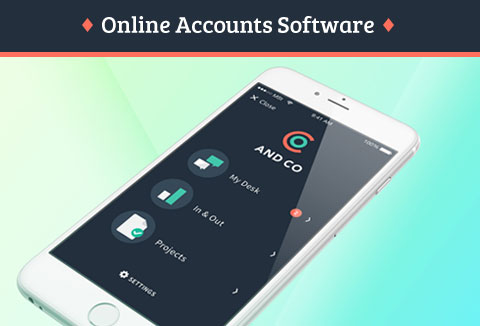 Online Accounts Software