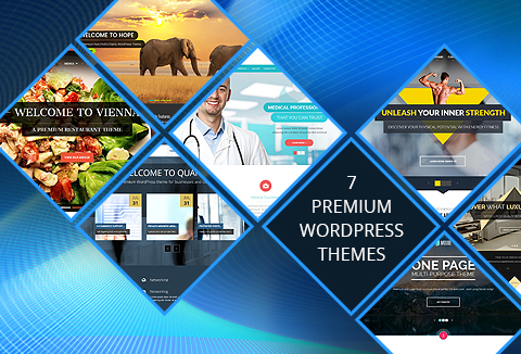 WordPress premium responsive themes