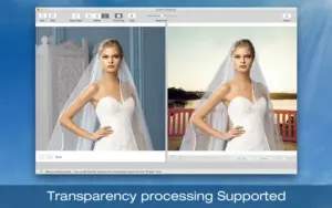 Transparency processing Support Preview image