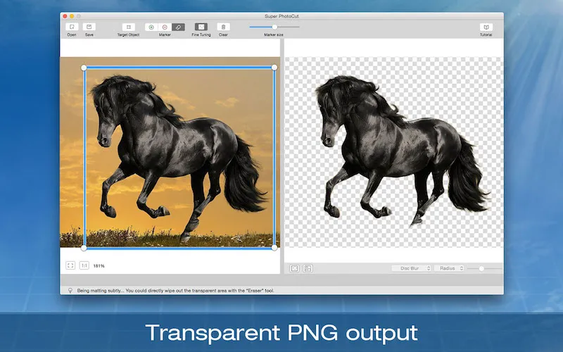 Transparent PNG output image background remover preview image
