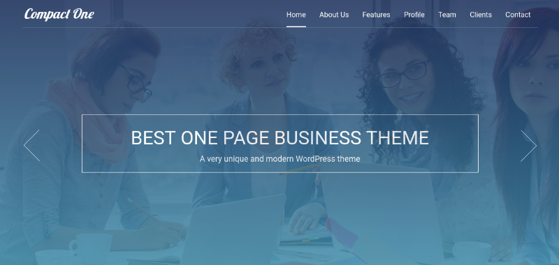 One-Page WordPress Theme