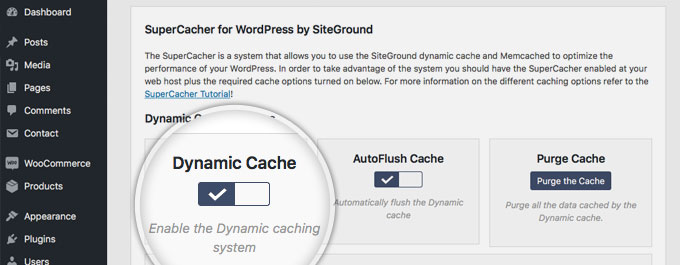 Enable Caching to Improve Page Speed of WordPress Websites