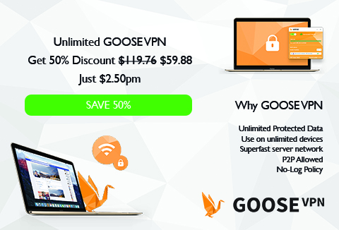 Goose VPN tool Feature image