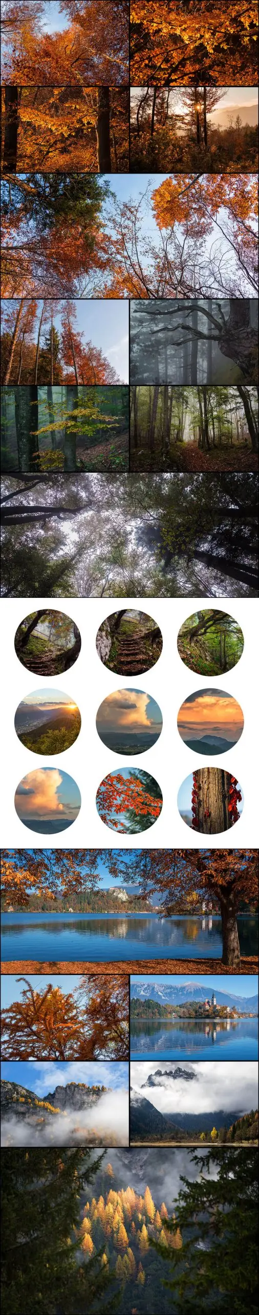Long Carousal of Autumn Stock Images