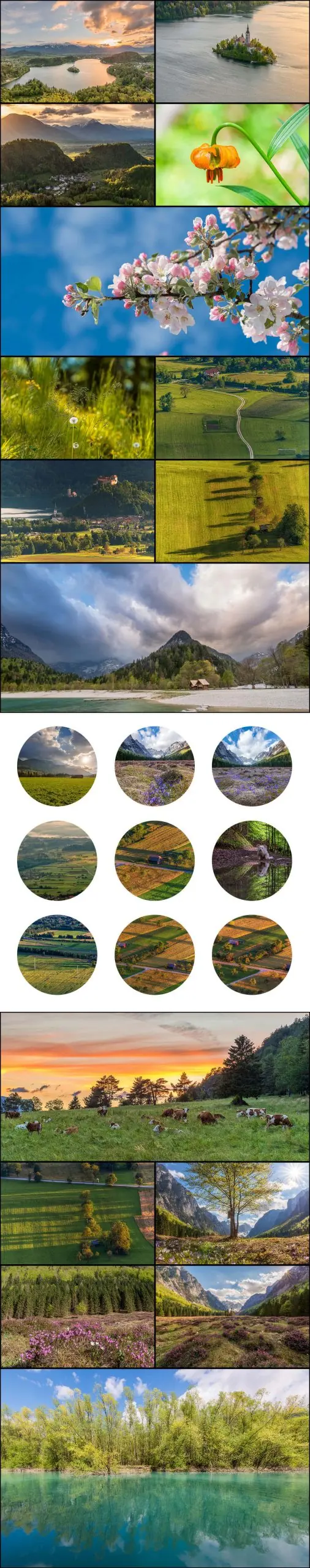 Long collage of Spring nature images