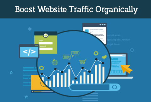 Increase Website Traffic & Earn More Revenue Feature Image