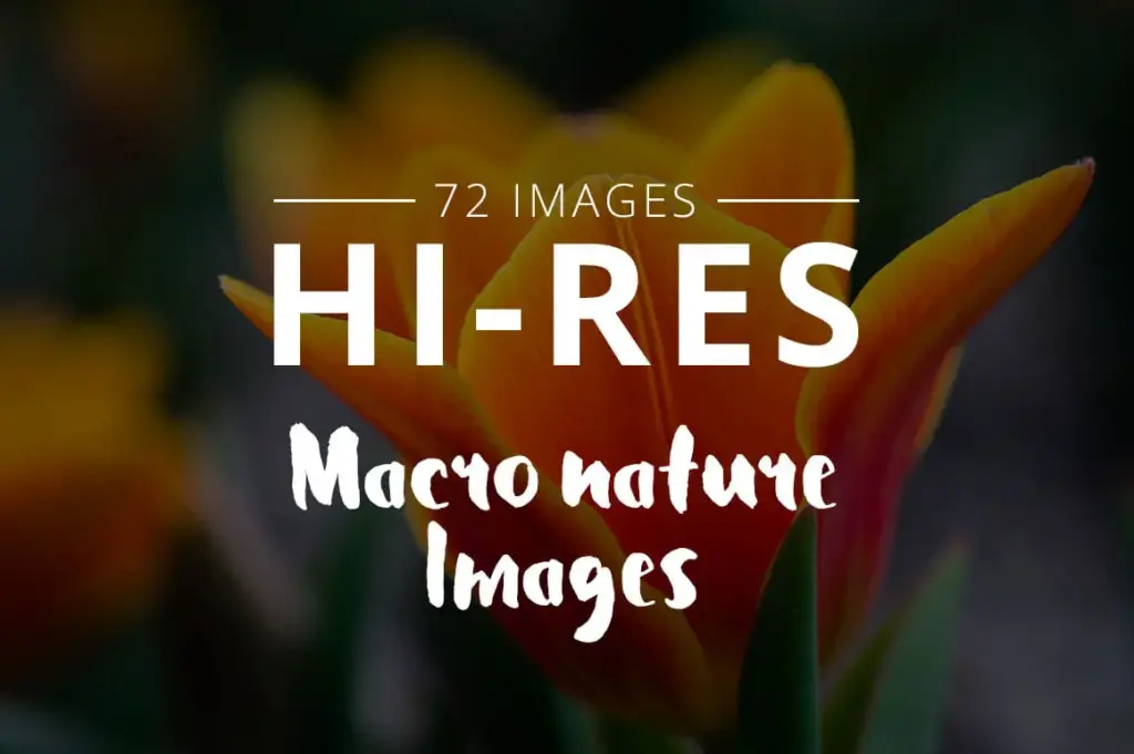 High resolution macro nature images 