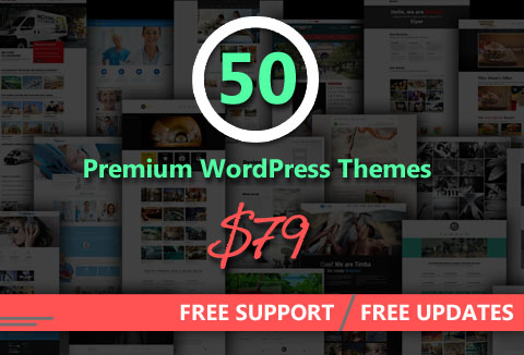 50 Premium Responsive WordPress Themes