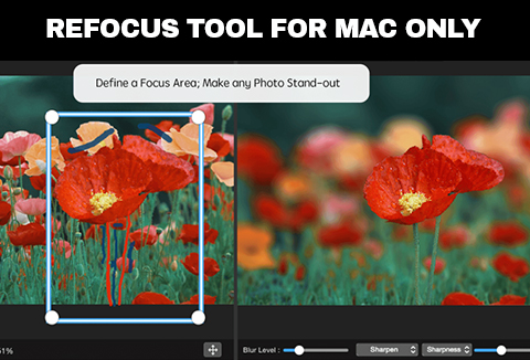 Super Refocus Photo Tool For Mac Only!