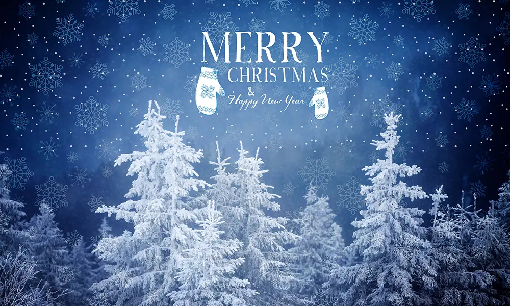 Merry Xmas Photo & Text Overlay 50 Photo & Text Overlays Bundle - Merry Xmas
