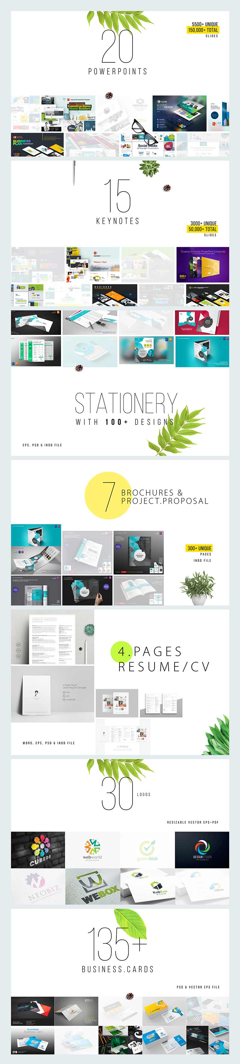 Entire Shop - Business Presentation & Print Bundle | Preview - 2 Summary