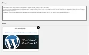 WP Exit Pop Up Plugin - Customisation Layout