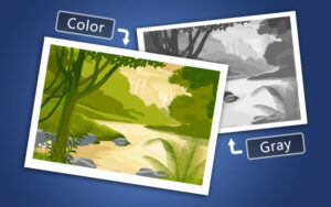 Super Vectorizer Tool - photo vector software is used to vectorize a landscape of a forest image.