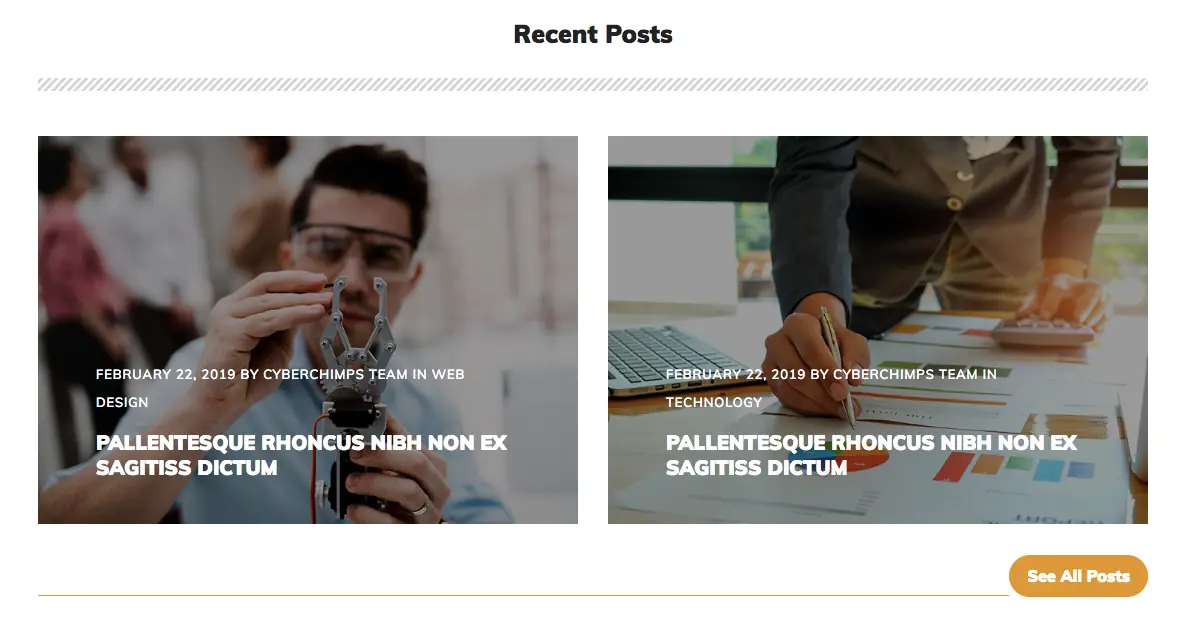 Two categories of post sections preview